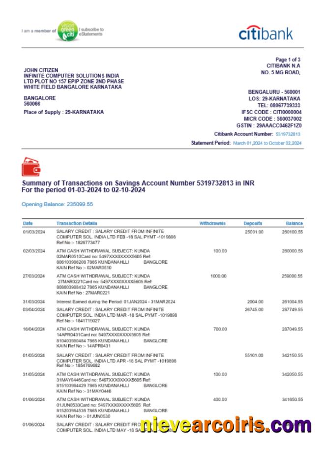 INDIA CITIBANK bank statement, Word and PDF format